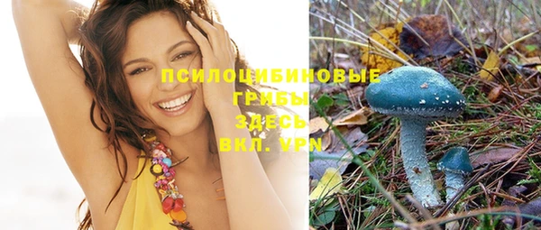 spice Алексин