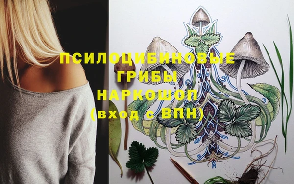 ПСИЛОЦИБИНОВЫЕ ГРИБЫ Алексеевка