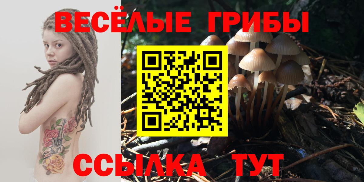 Галлюциногенные грибы Magic Shrooms Лабинск