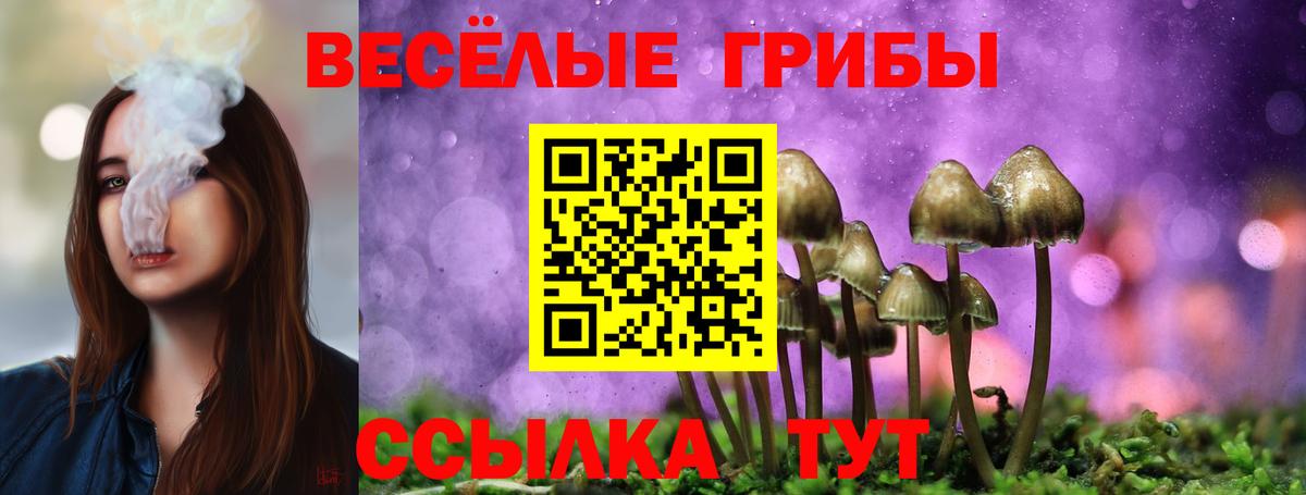 Галлюциногенные грибы Magic Shrooms  Вход с VPN  Лабинск 
